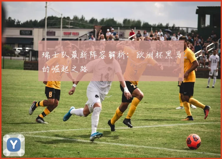 瑞士队最新阵容解析：欧洲杯黑马的崛起之路