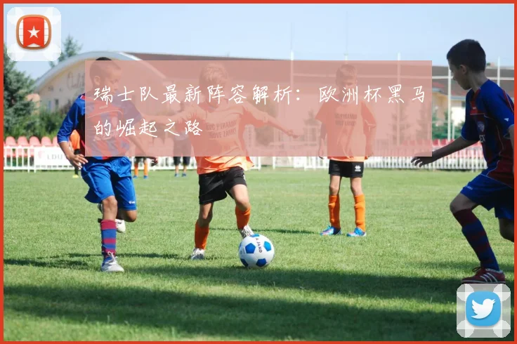 瑞士队最新阵容解析:欧洲杯黑马的崛起之路